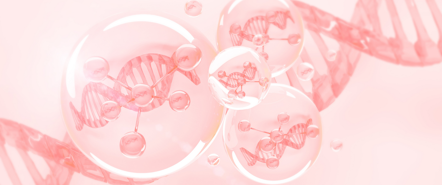 SAXZ-12®: The secret formula to timeless skin