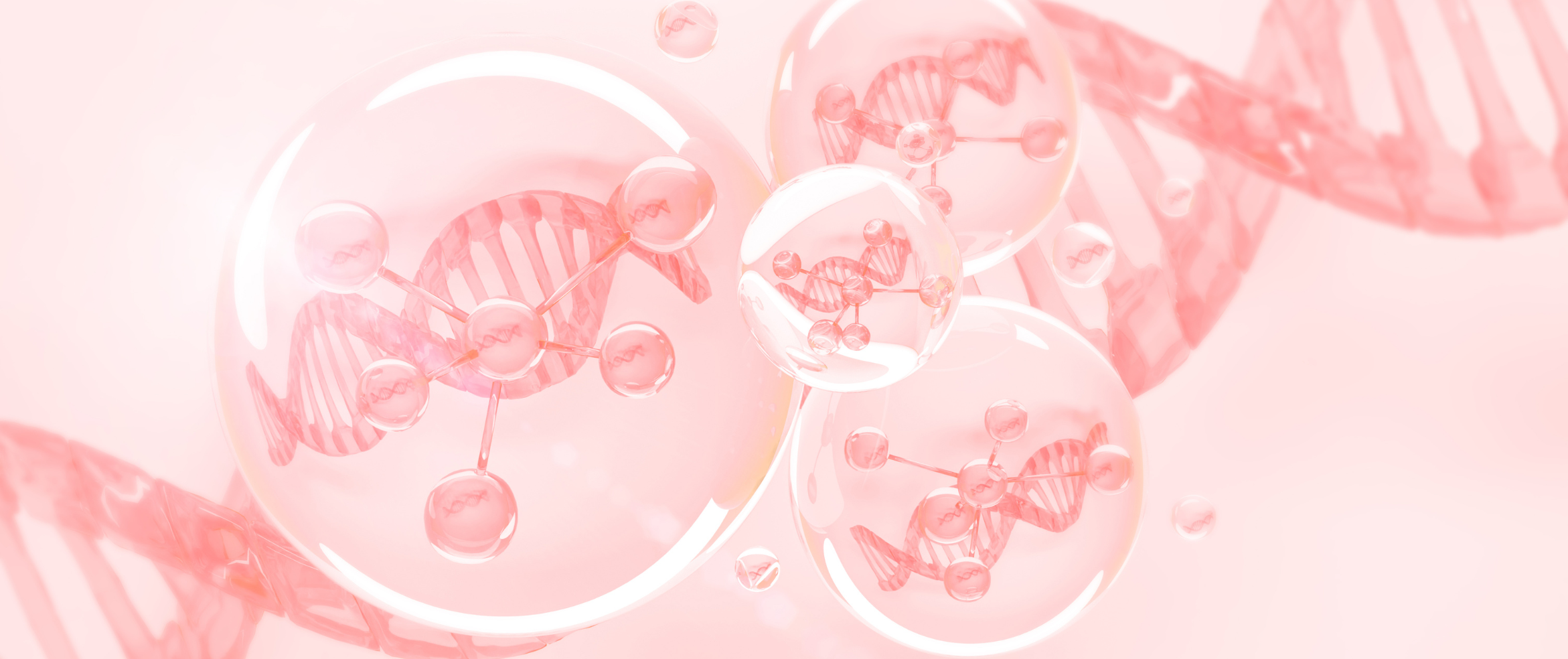 SAXZ-12®: The secret formula to timeless skin